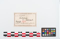 Etiketten zu Bronzebrillenfibel (NHMW-PRAE-024768)